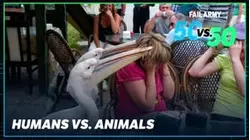 FAILARMY: 50 VS. 50 | Humans vs. Animals