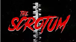 The Scrotum