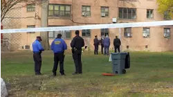 Investigation into fetus found in plastic bag in Brooklyn