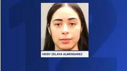 Source: Police activity may have distracted driver accused in fatal Freeport hit-and-run