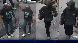 Duo on the run after attacking NYPD Traffic Enforcement agent in Morris Heights
