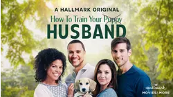 How to Train Your Husband