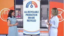 Are Cotton Tote Bags Better Than Disposable Ones? Fact Vs. Myth