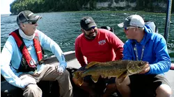 Giant Walleyes of the Great Lakes