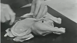 Operation Chicken