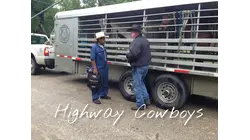 Bulls On Parade Shut Down Overpass