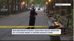 Man sentenced for stray bullet shooting that killed father inside Crown Heights park
