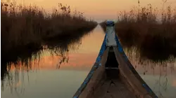 From Chicago to the Karoo