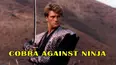 Cobra Against Ninja