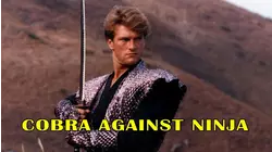 Cobra Against Ninja