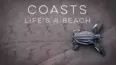 Coasts - Life's a Beach
