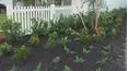 Flip My Florida Yard