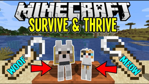 Minecraft Finding Name s And Naming Pets Minecraft Survival Let S Play Tutorial Ep 11 Xumo