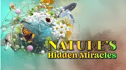 The Secret Life Of Plants