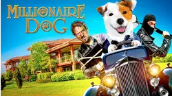 Millionaire Dog
