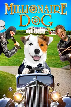 Millionaire Dog