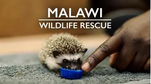Malawi Wildlife Rescue