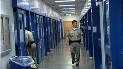 The Shapeshifter