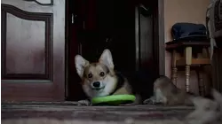 Pushy Poltergeists and More