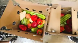 Uncertainty persists at Bay Area food banks over SNAP funding