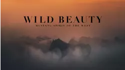Wild Beauty Mustang Spirit of the West