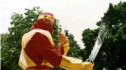 Ninja Kill