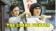 Crane Fighter
