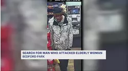 Police search for suspect who attacked woman at Bedford Park bodega
