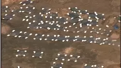 Fort Bend Co. approves $1.5M to memorialize 95 individuals found in unmarked graves in Sugar Land