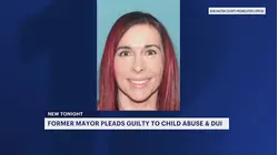 Lumberton elected official pleads guilty to child abuse, DUI