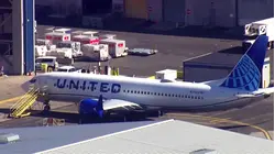 Bird Strike Forces United Airlines Flight to Return After Takeoff