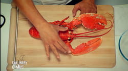 Lobster