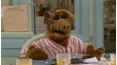 ALF