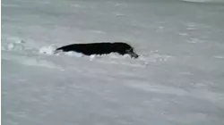 Smooth moves