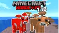 Minecraft Hardcore Survival