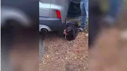 Inmigrante guatemalteco denuncia que fue atropellado por un vehículo de ICE en Long Island