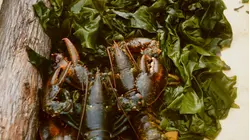 Gesgapegiag, Quebec: Part 1