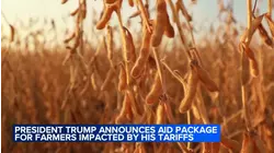 Trump giving farmers, hit hard by China trade war, $12B in aid