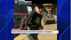 Police release photos of subway chain snatcher in Mount Hope