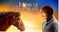 A Horse Called Bear