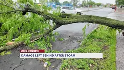 Overnight storms topple trees, leaves behind damage across Brooklyn