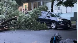Storm damage and flooding reported after strong storms move through Newark
