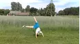 FailFactory