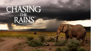 Chasing the Rains