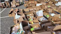 Hundreds line up for food distribution event at Clover Stadium in Pomona