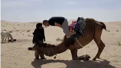 Born to Be Wild
