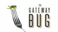 The Gateway Bug