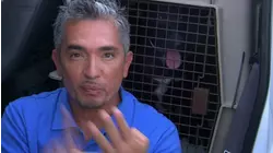 Hurricane Hounds Part One