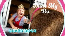 Guard Dogs