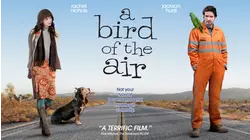 A Bird of the Air